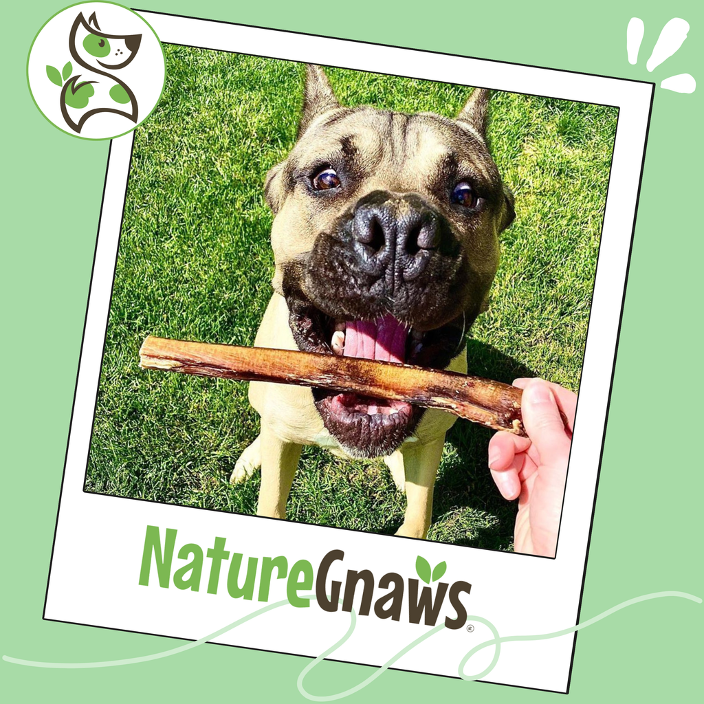 Large 5–6 Inch Beef Bully Sticks product image 6