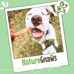 Large 5–6 Inch Beef Bully Sticks product image 7