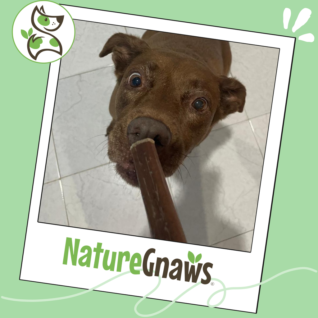 Dog Treats product image 6