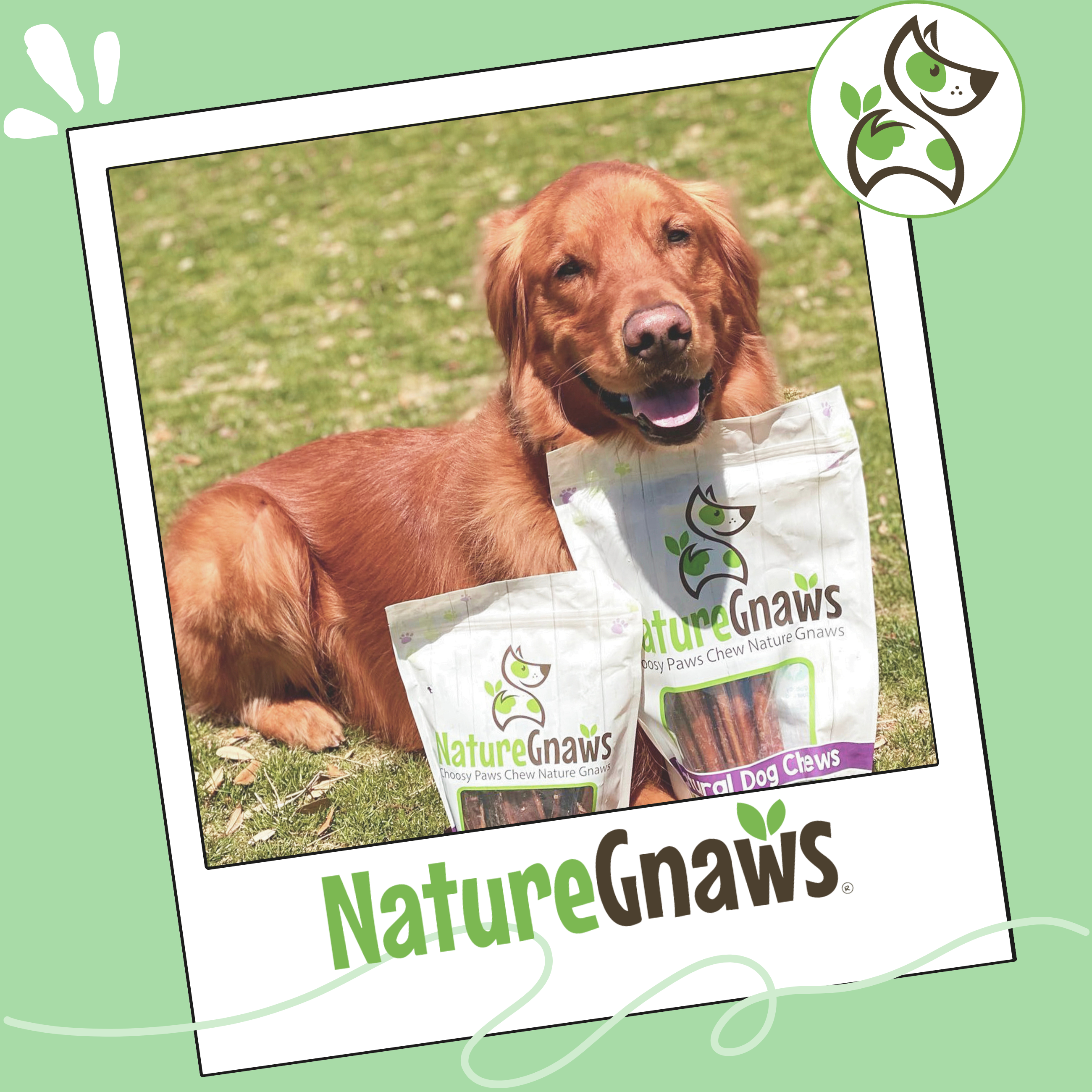 Dog Treats product image 7