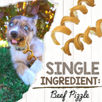 7–8 Inch Beef Bully Stick Spring Dog Chews product image 3