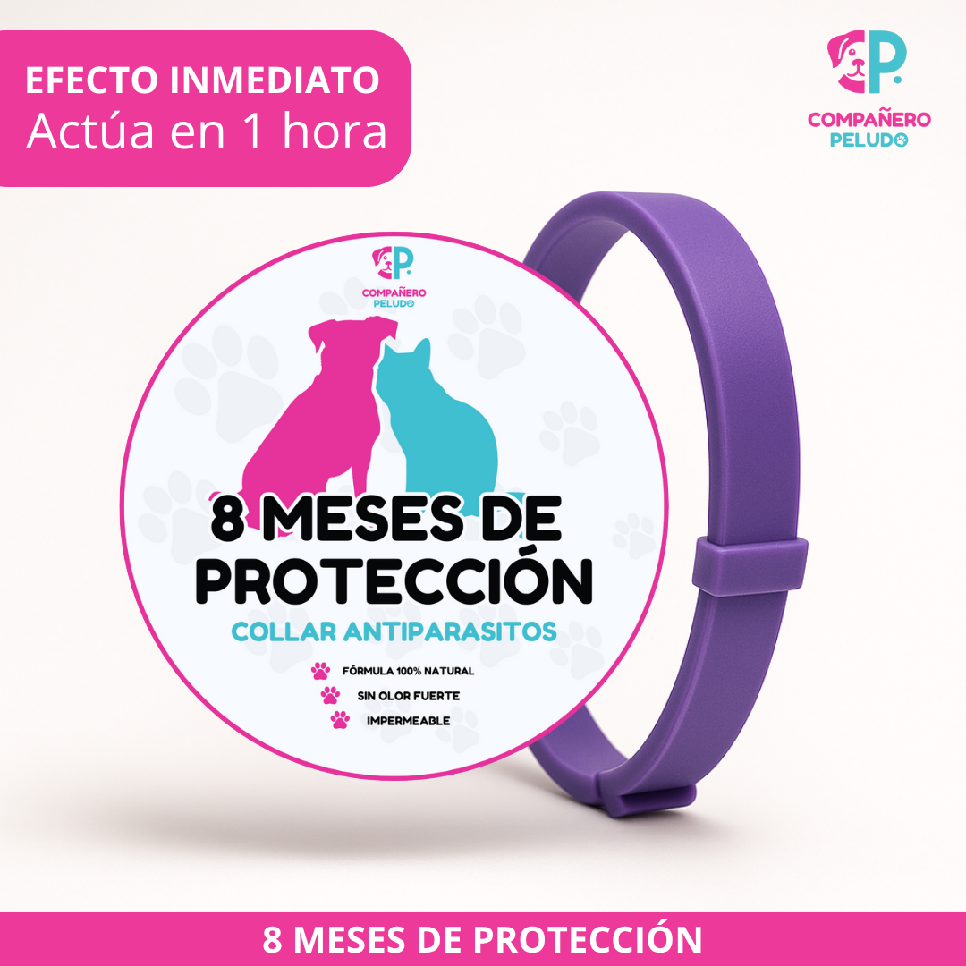 Antiparasitic Pet Collar product image 4