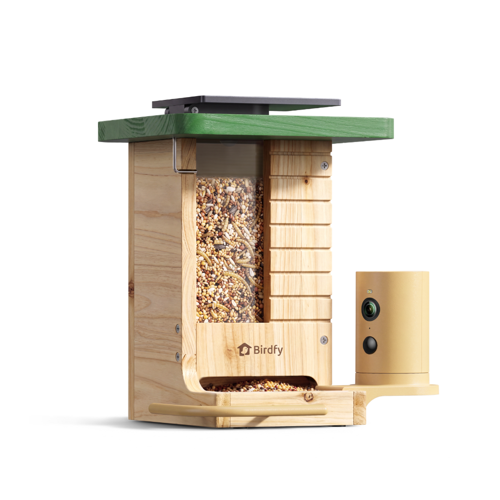 Camera Bird Feeder product image 1