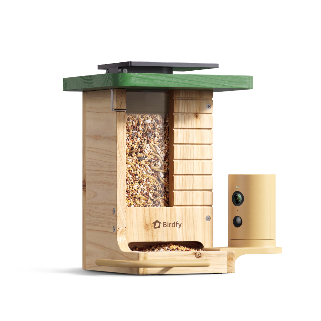 Camera Bird Feeder product image 1