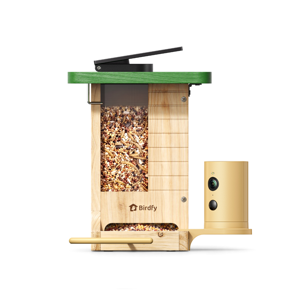 Camera Bird Feeder product image 2