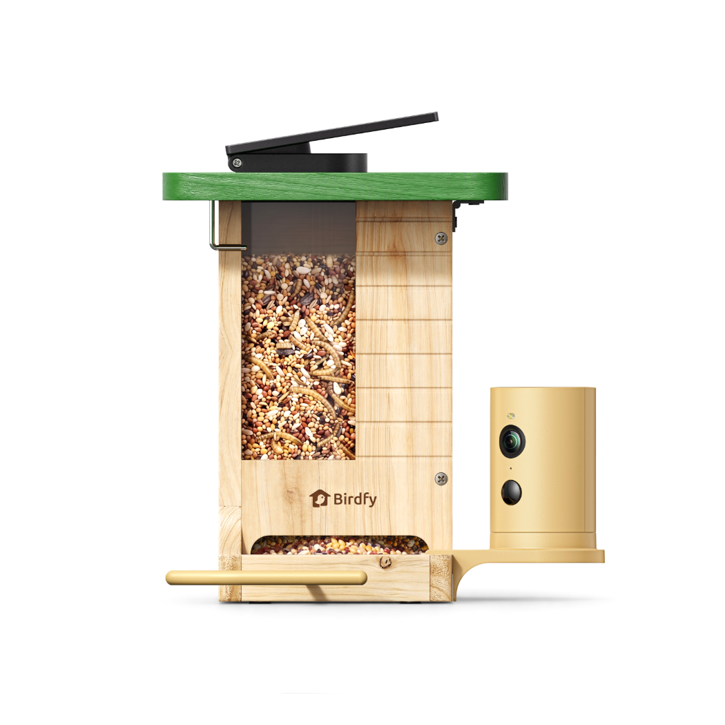 Camera Bird Feeder product image 2