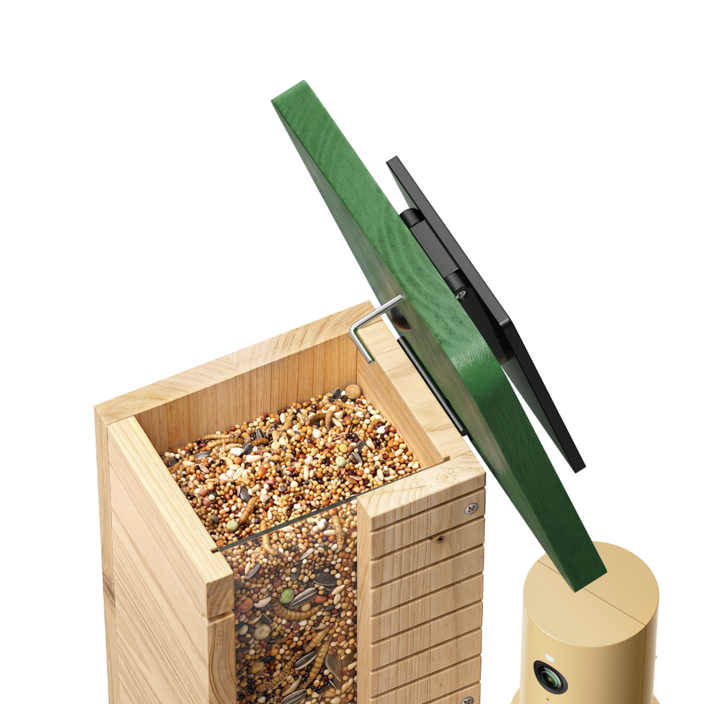 Camera Bird Feeder product image 3