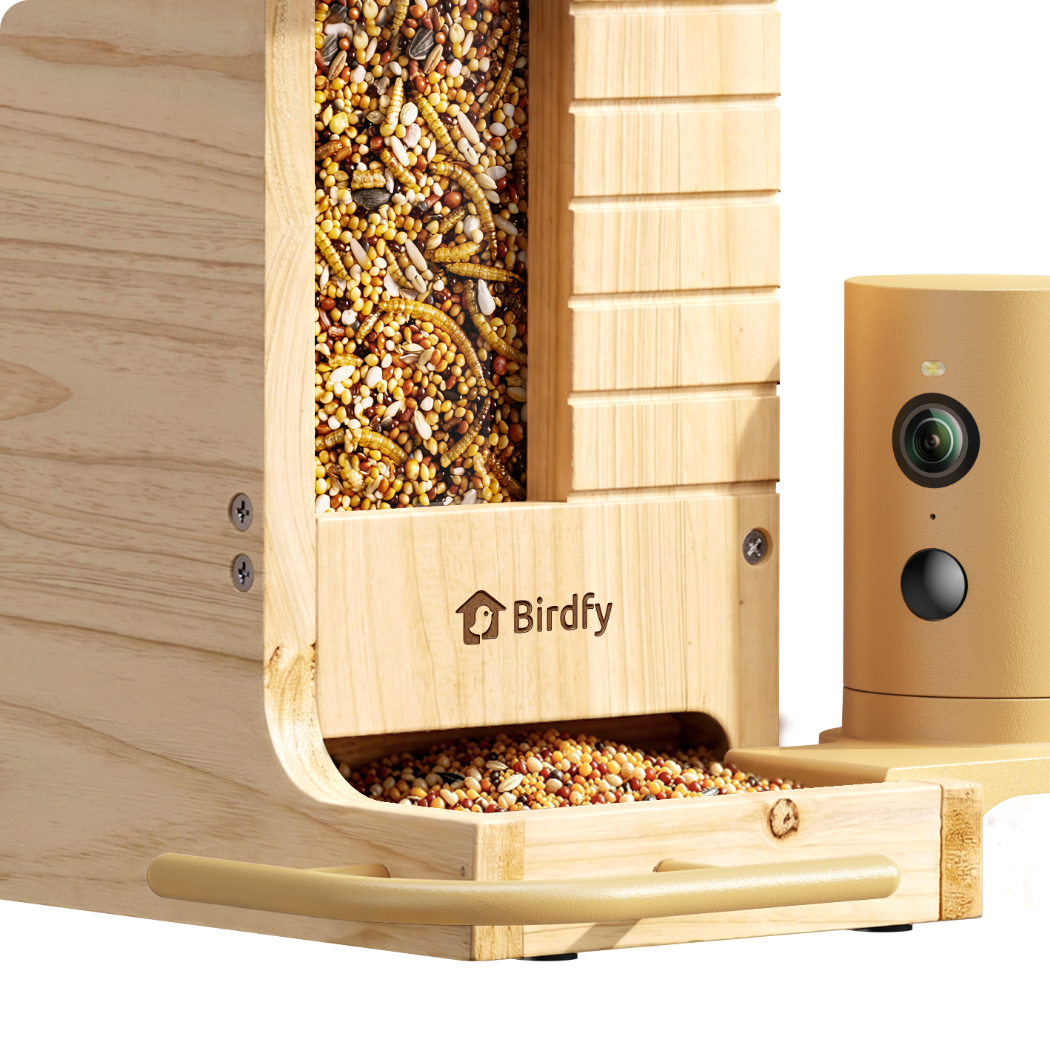 Camera Bird Feeder product image 4
