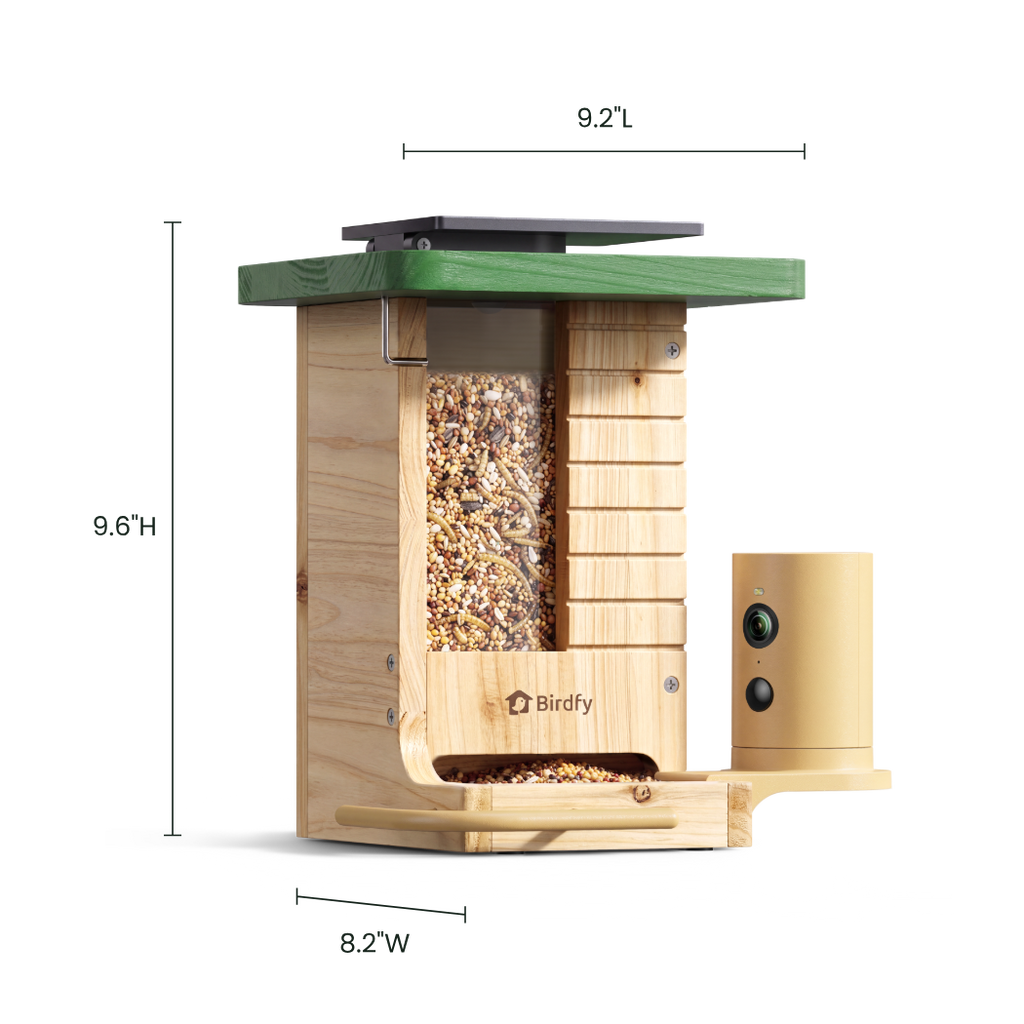 Camera Bird Feeder product image 5