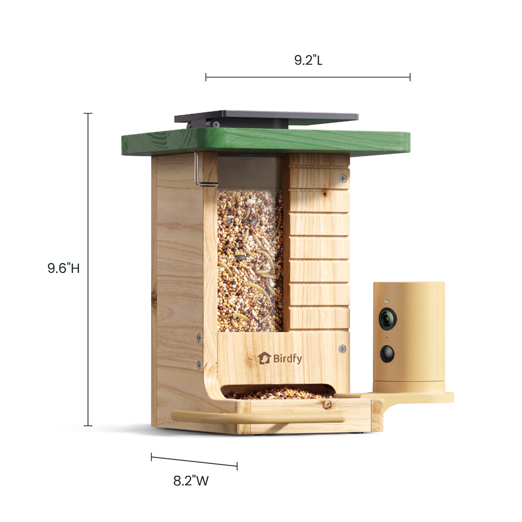 Camera Bird Feeder product image 5
