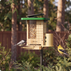 Camera Bird Feeder product image 6