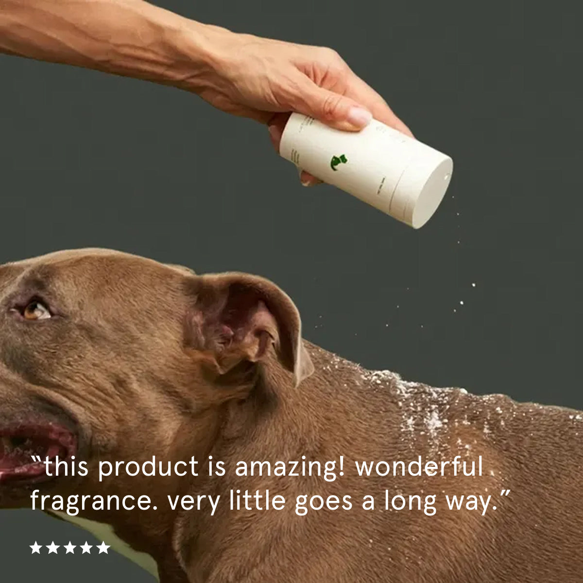 Dog Dry Shampoo product image 3