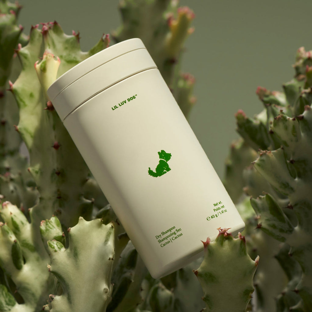 Dog Dry Shampoo product image 5