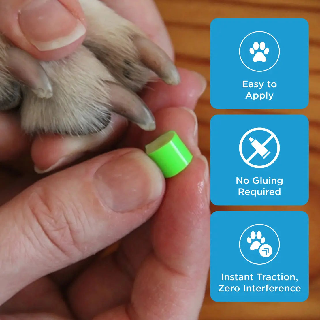 Dog Nail Grips for Floor Traction product image 1