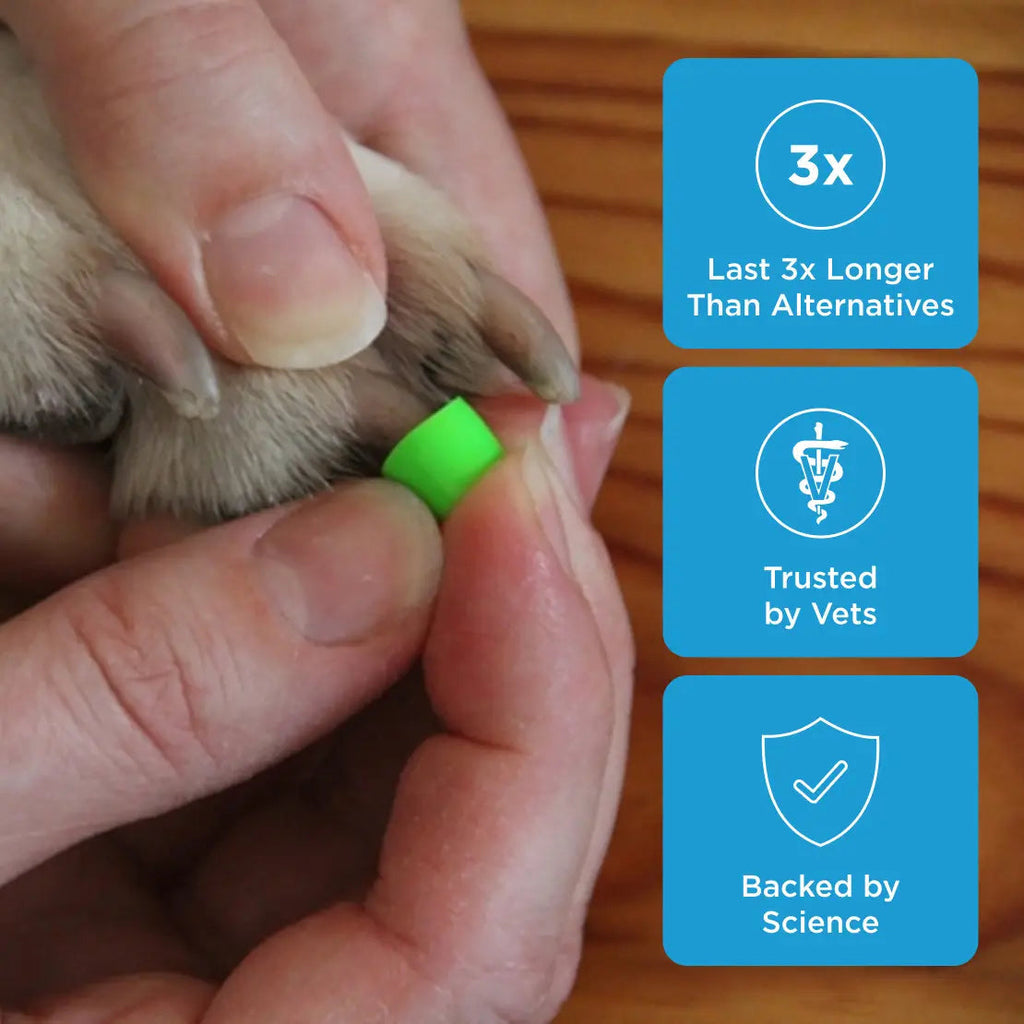 Dog Nail Grips for Floor Traction product image 2