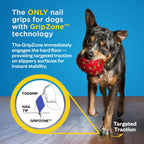 Dog Nail Grips for Floor Traction product image 4