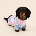 Dog Sweater product image 1