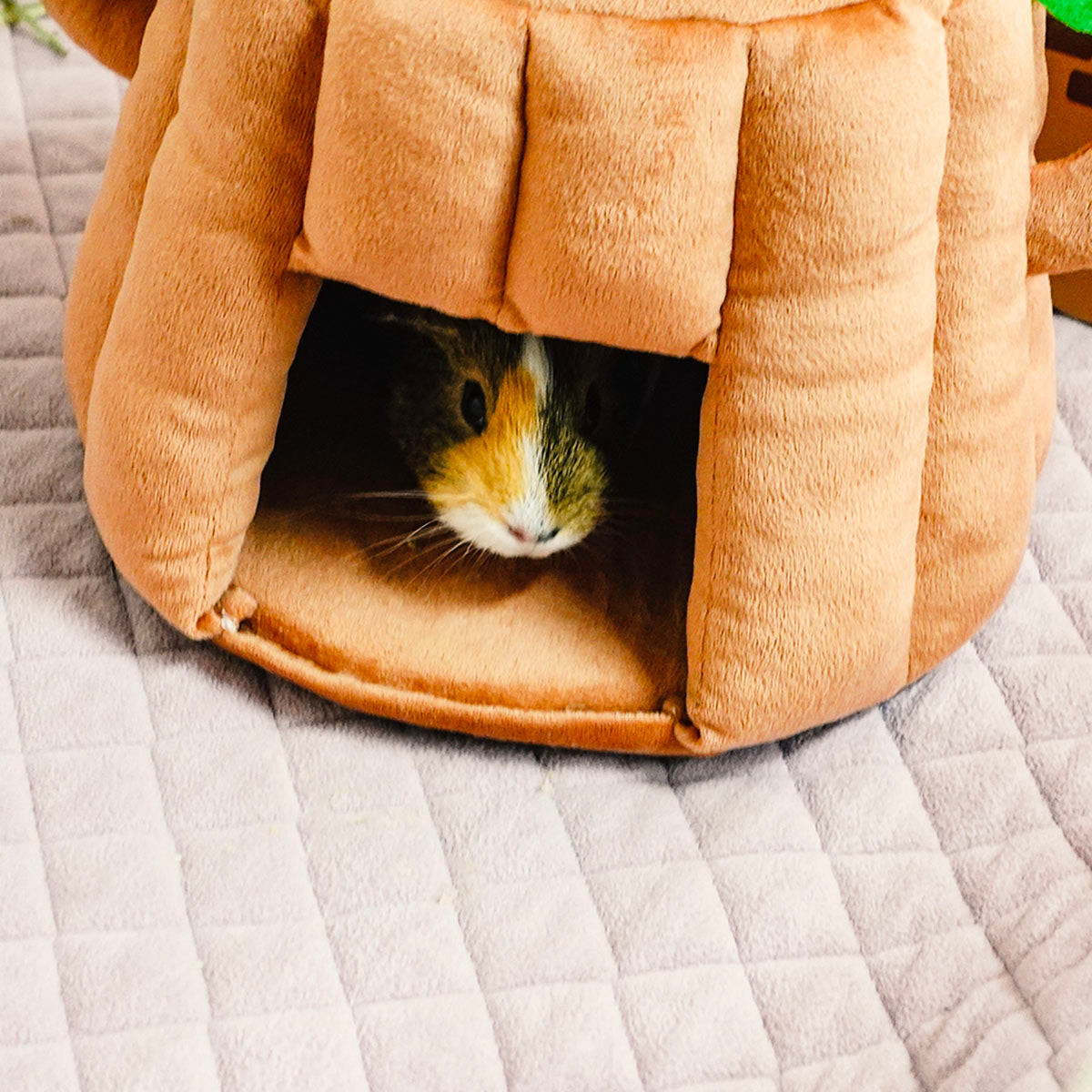 Guinea Pig Hideaway product image 3