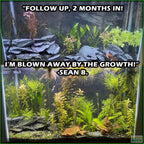 GREATSTARTforaplantedtank_TheBeginner_sPlantedAquariumCombo_SeanB.
