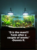 Aquarium Plant Combo product image 11