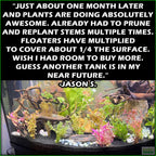 Aquarium Plant Combo product image 15