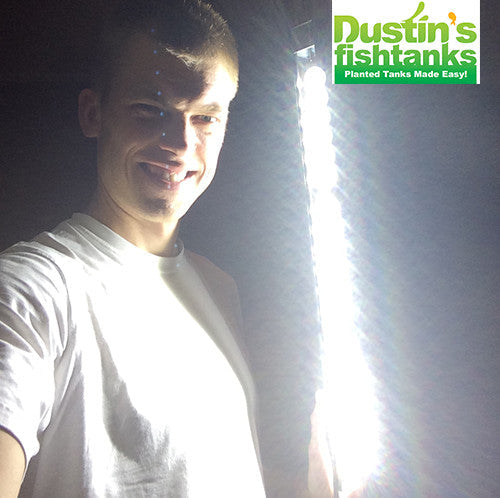 LED Grow Light product image 4