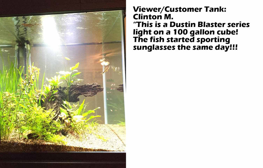 LED Grow Light product image 13