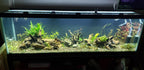 LED Grow Light product image 14