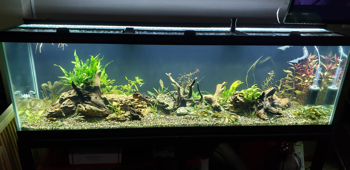 LED Grow Light product image 14