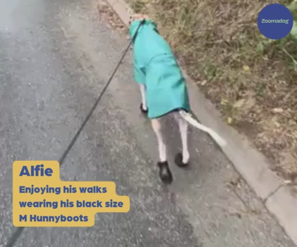 Greyhound and Whippet Dog Boots product image 61