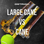 Large Ostrich Cane Dog Chew product image 3