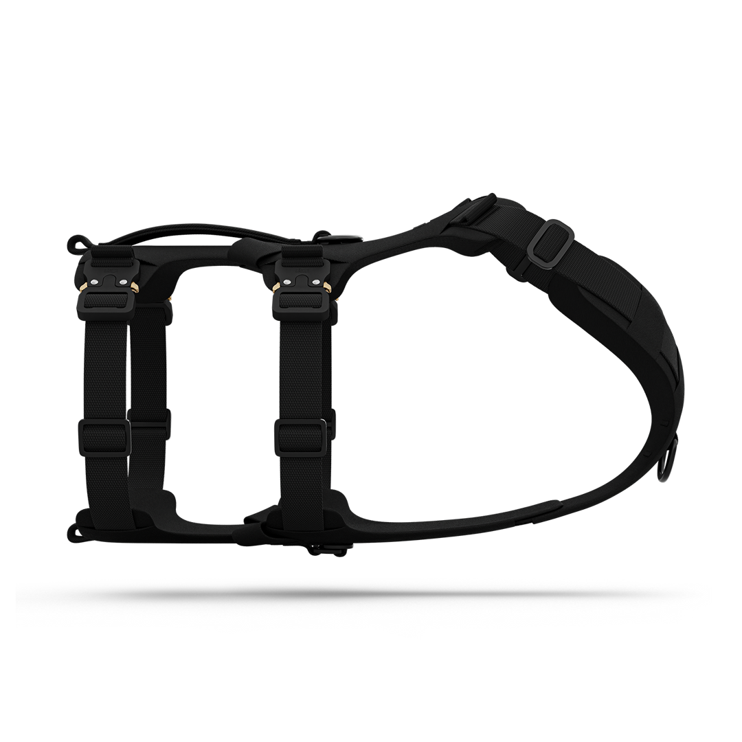 Dog Harness product image 1
