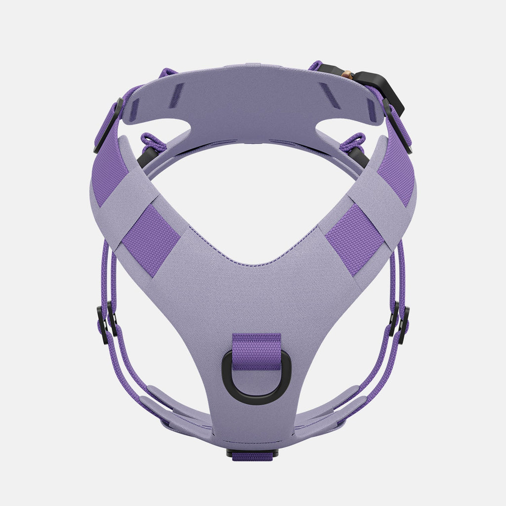 Pet Harness product image 4