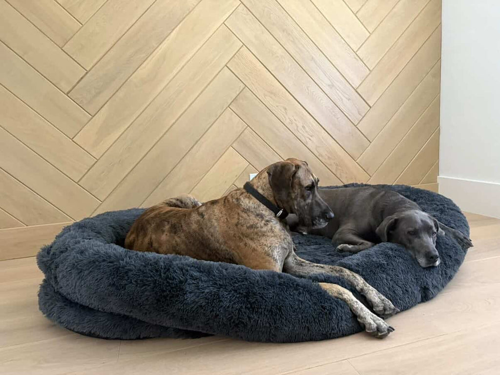 Orthopedic Dog Bed product image 1