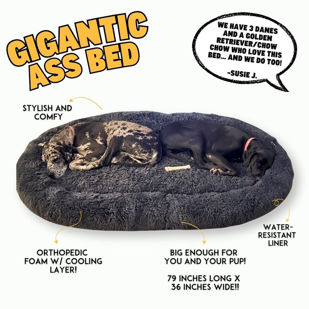 Orthopedic Dog Bed product image 2