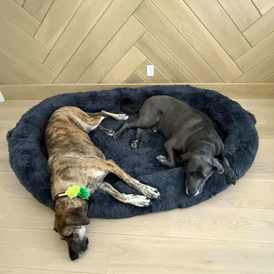 Orthopedic Dog Bed product image 4