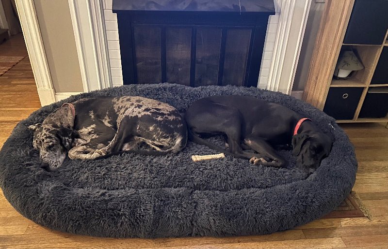 Orthopedic Dog Bed product image 6