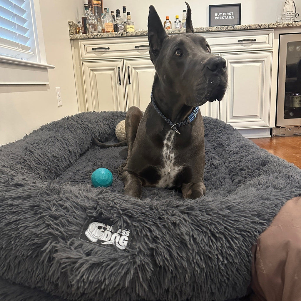 Orthopedic Dog Bed product image 9