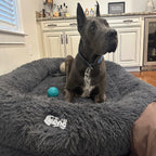 Orthopedic Dog Bed product image 9