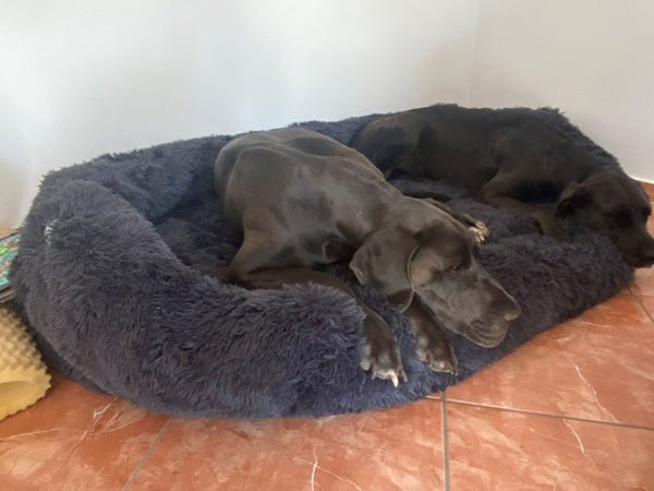 Orthopedic Dog Bed product image 12