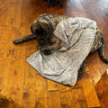 Dog Bath Towel product image 1