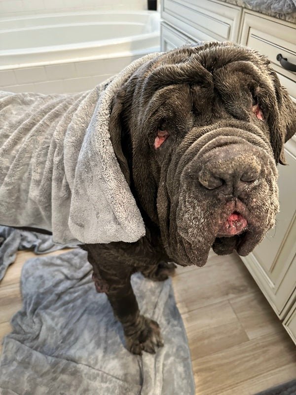 Dog Bath Towel product image 9