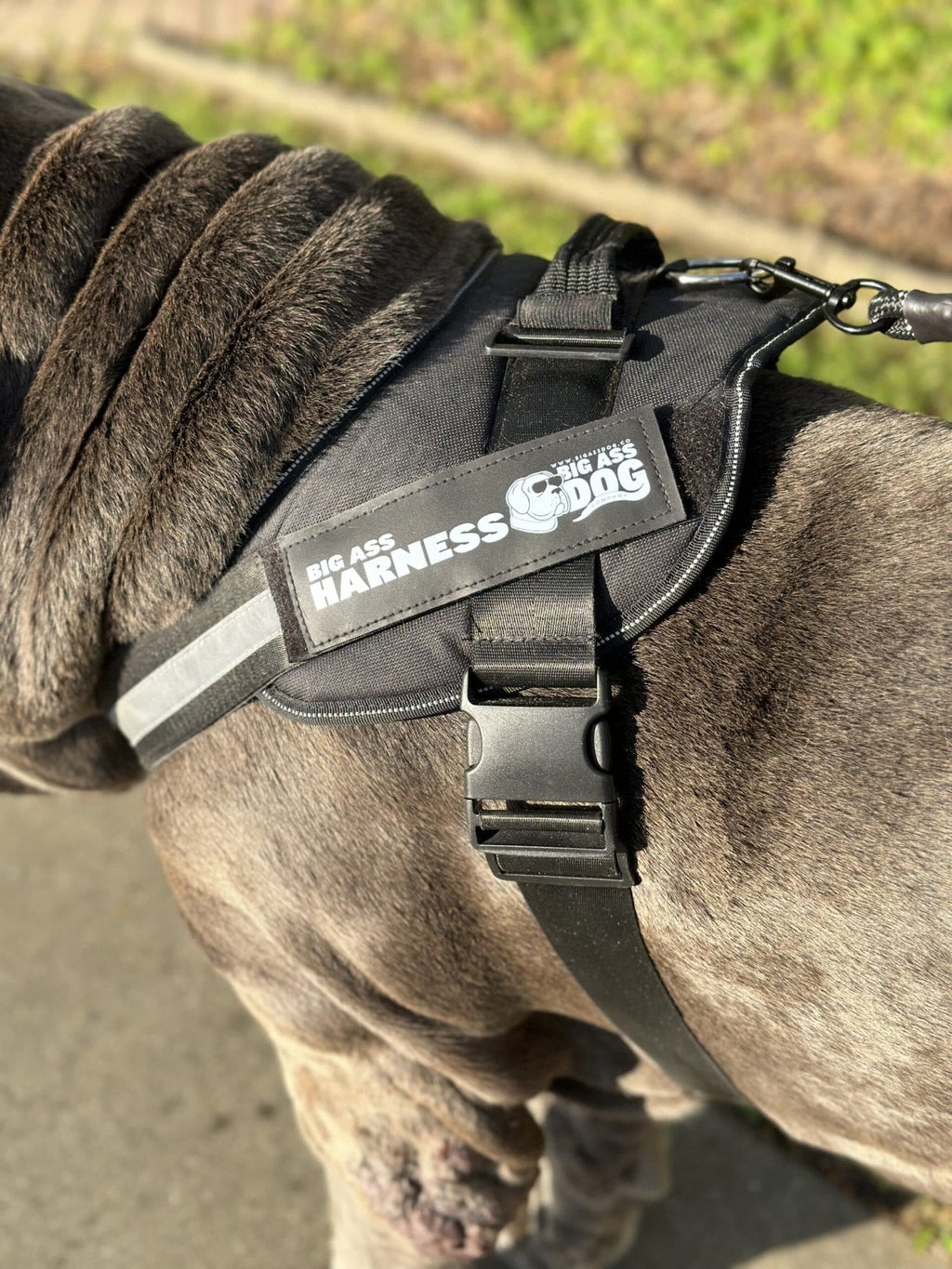 Dog Harness product image 12