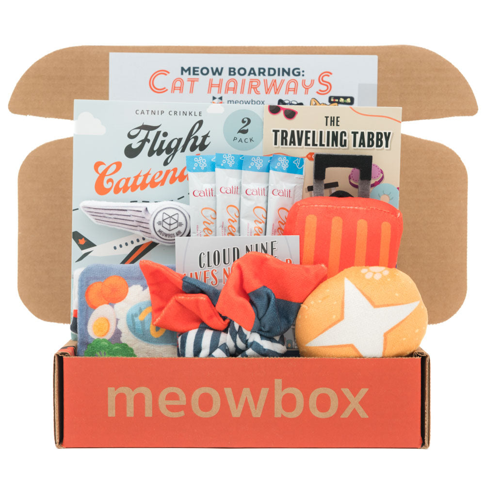 Cat Toy Box product image 1
