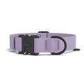 Dog Collar product image 1