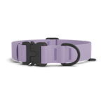 Dog Collar product image 1