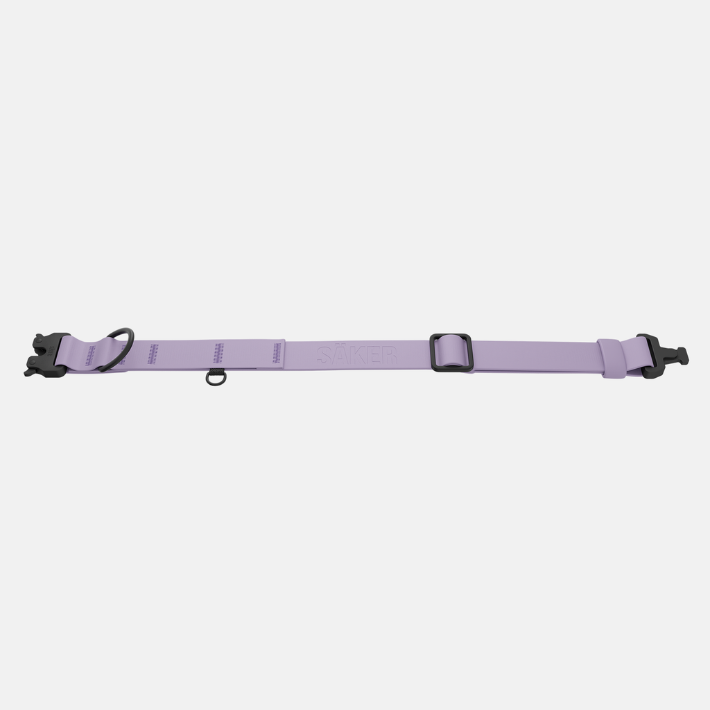 Dog Collar product image 3