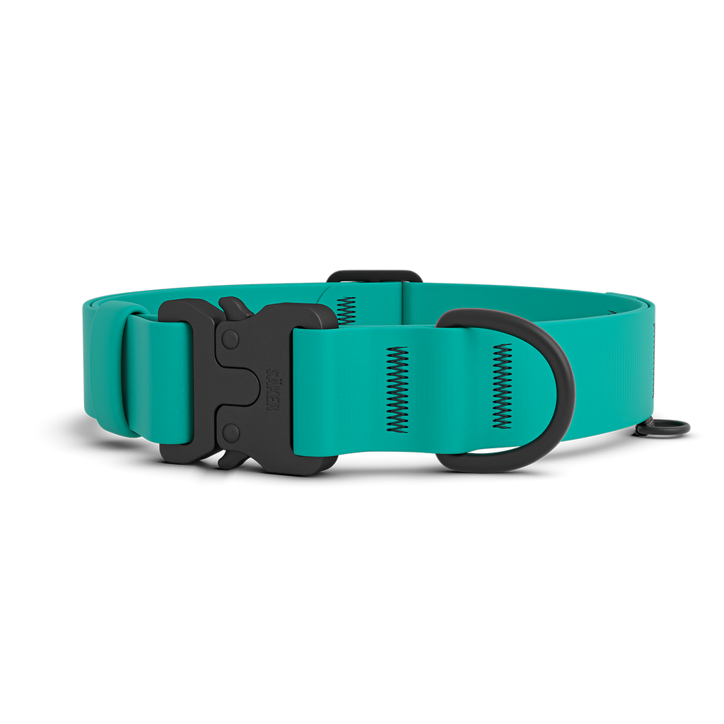 Dog Collar product image 1
