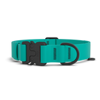Dog Collar product image 1