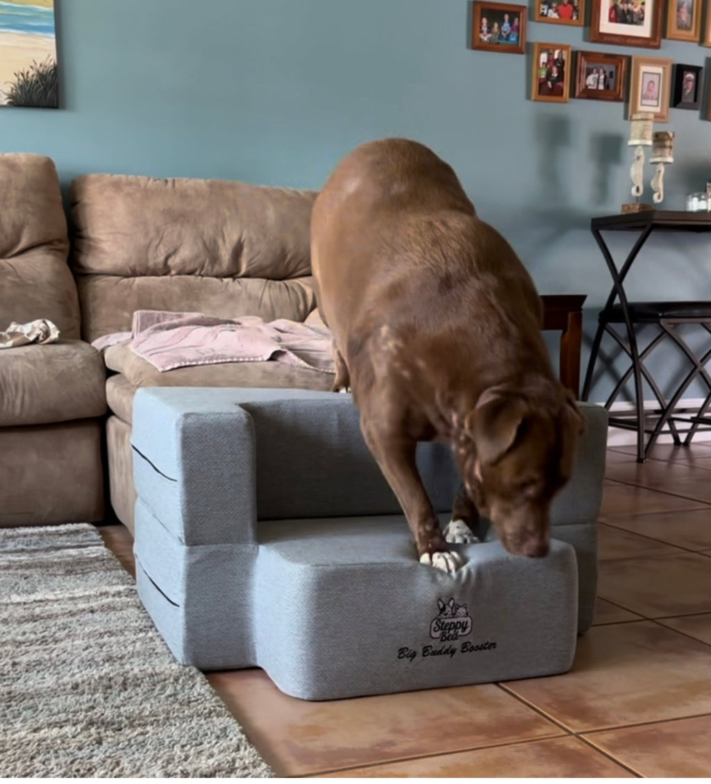 Dog Steps product image 3